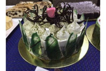 Kiwi Matcha Cake